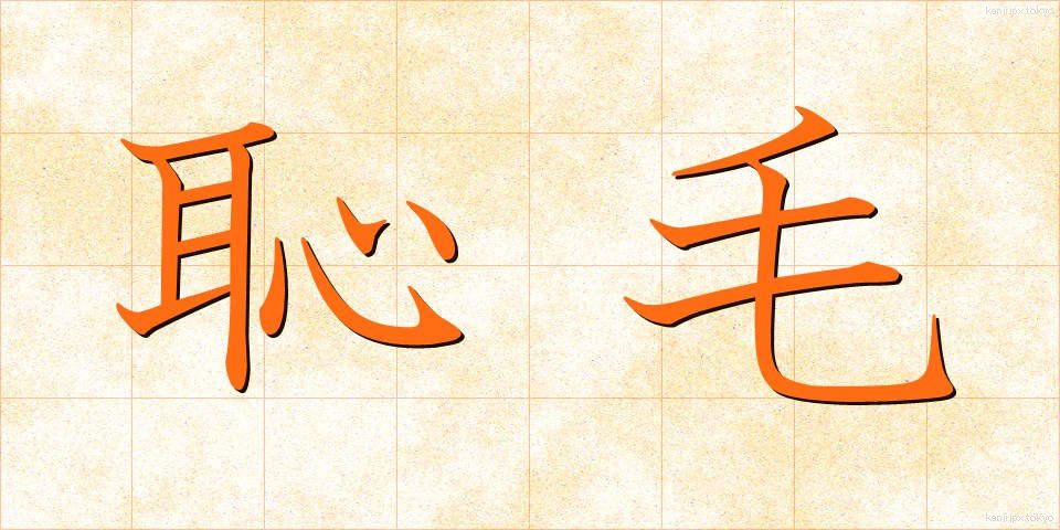 恥毛 (ちもう)