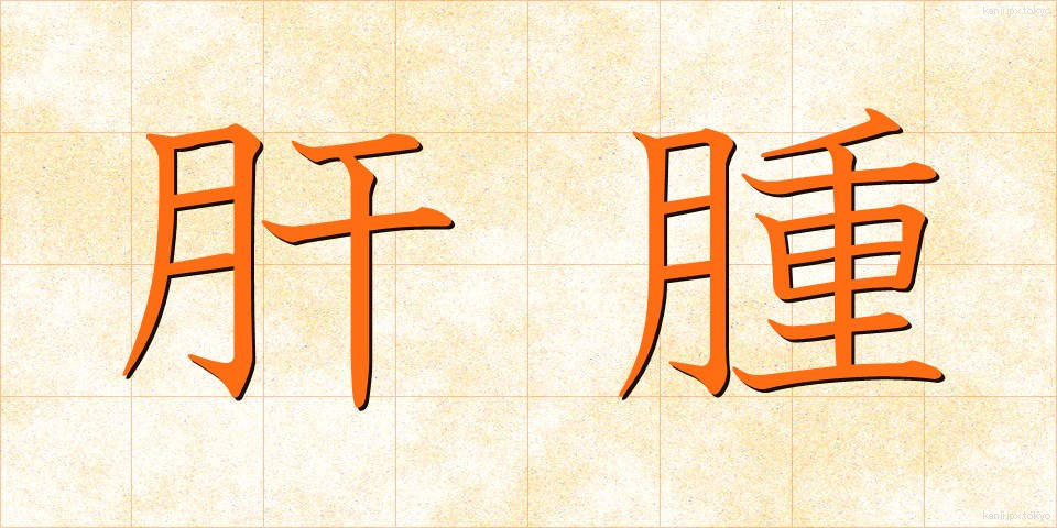 肝腫 (かんしゅ)