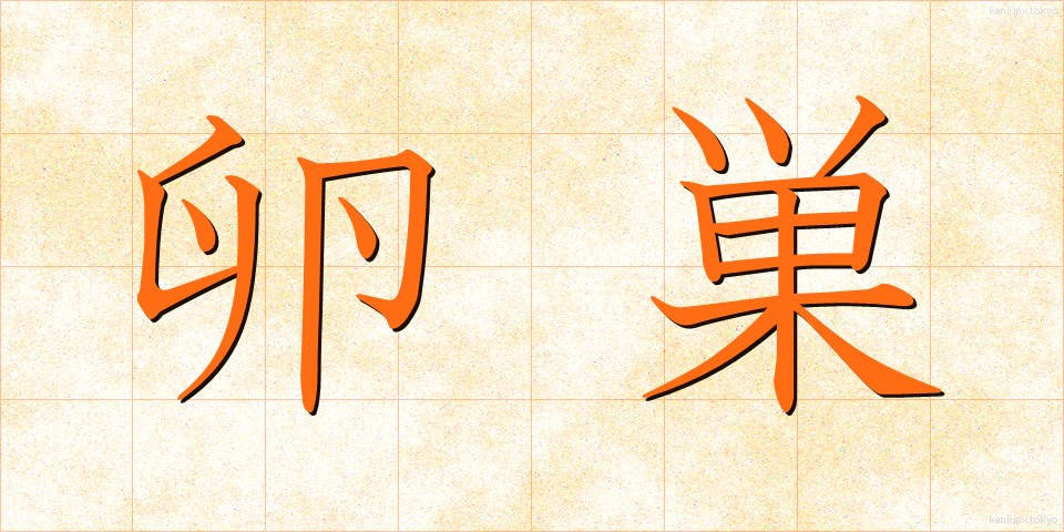 卵巣 (らんそう)