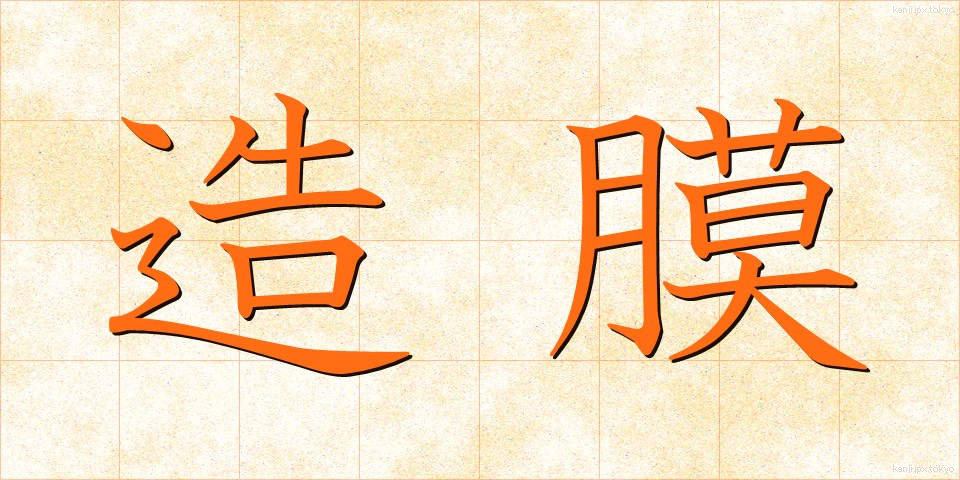 造膜 (ぞうまく)
