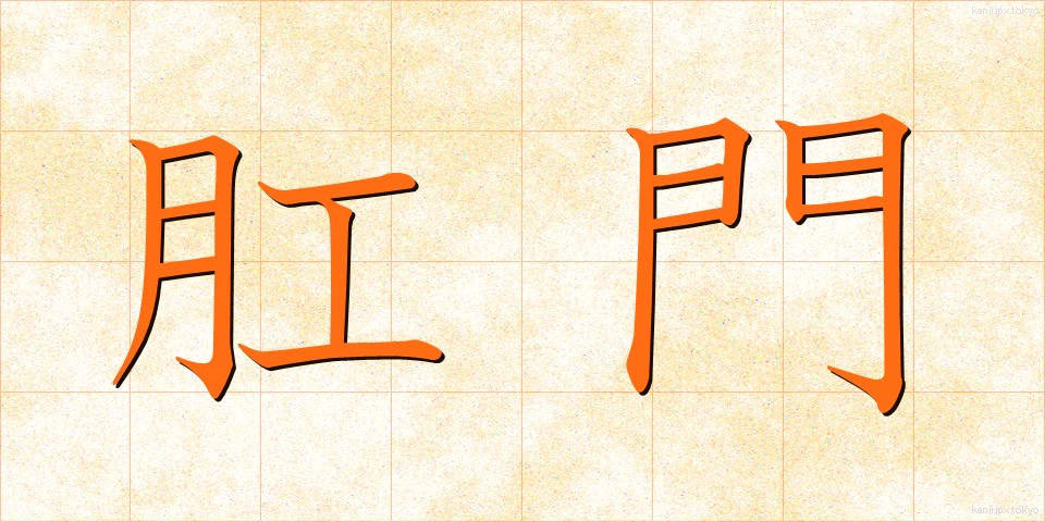 肛門 (こうもん)