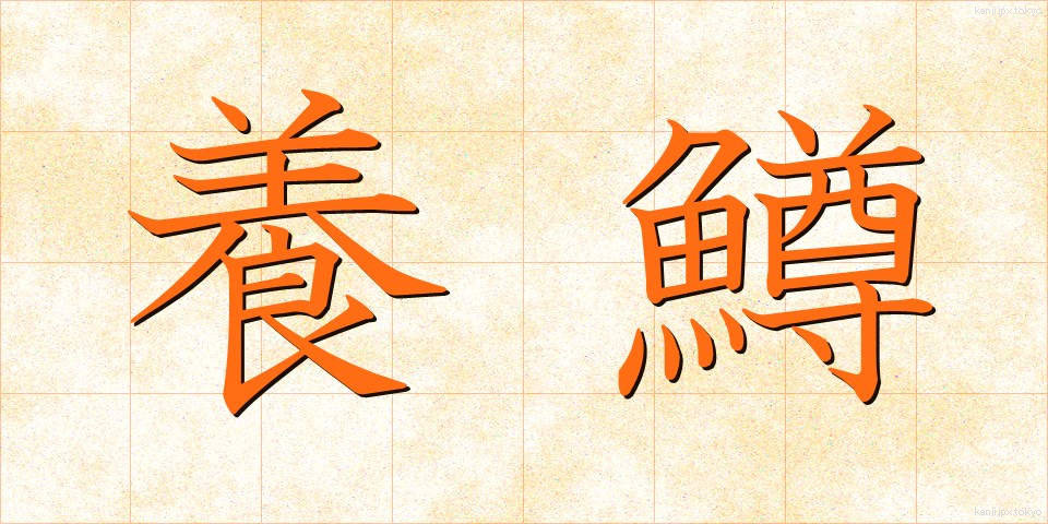 養鱒 (ようそん)