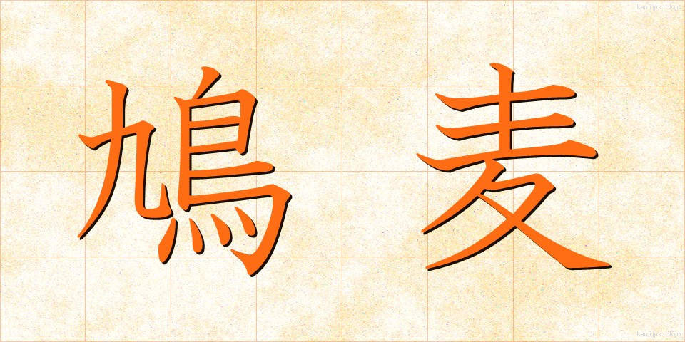 鳩麦 (はとむぎ)