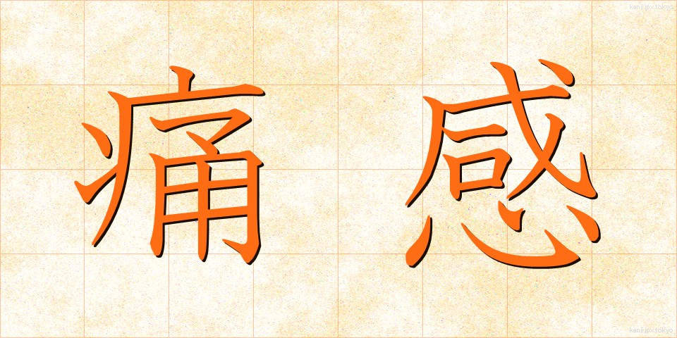 痛感 (つうかん)