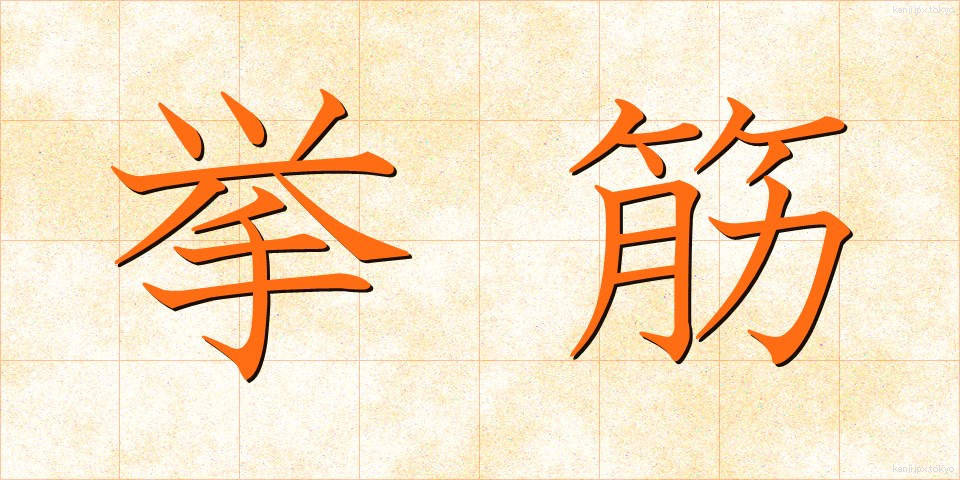 挙筋 (きょきん)