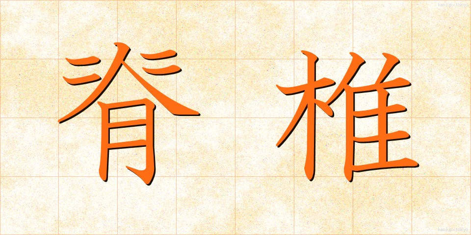 脊椎 (せきつい)