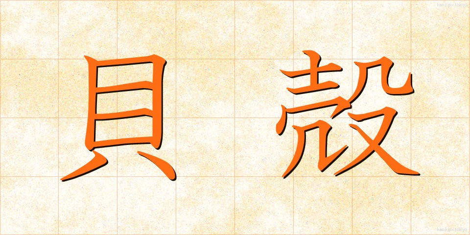 貝殻 (かいがら)
