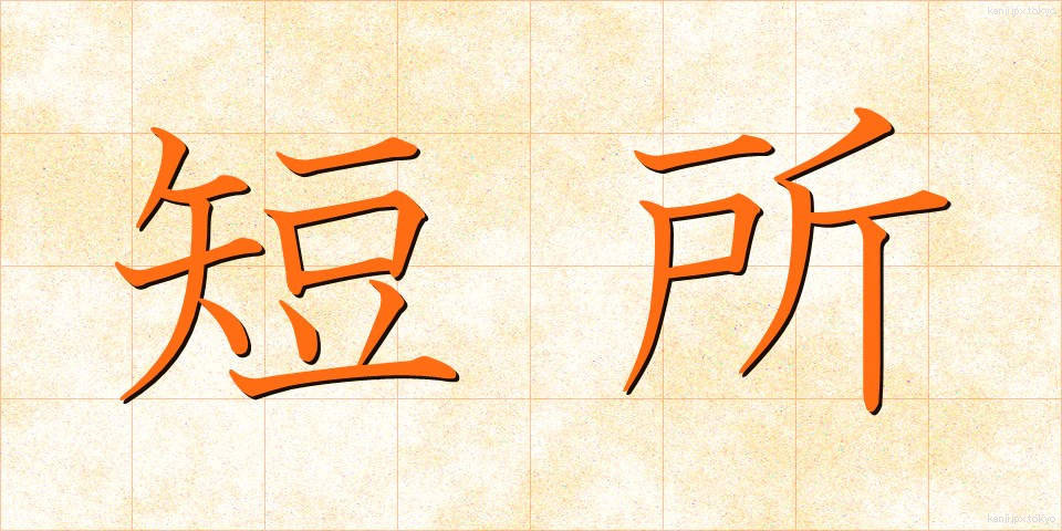 短所 (たんしょ)