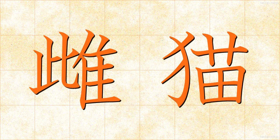 雌猫 (めねこ)