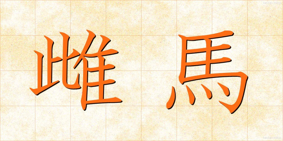 雌馬 (めうま)