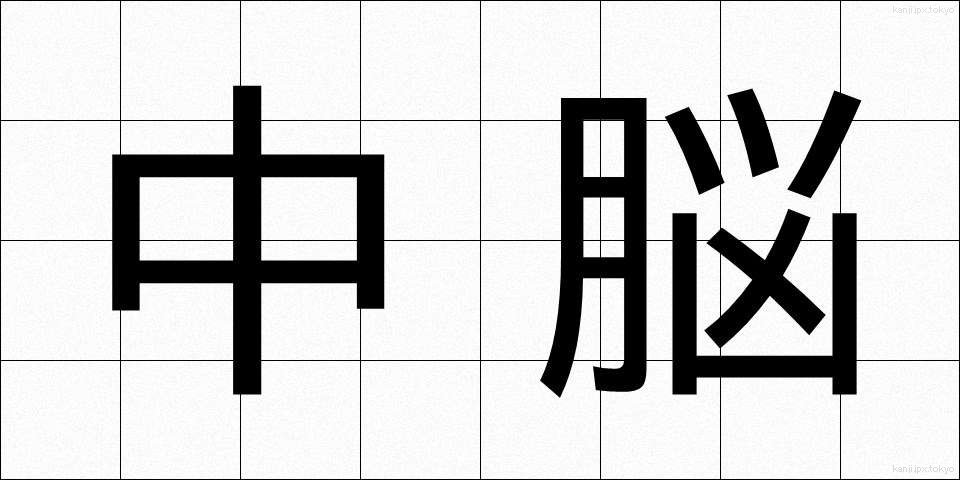 中脳 (ちゅうのう)