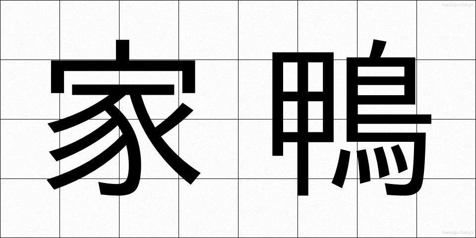 家鴨 (あひる)