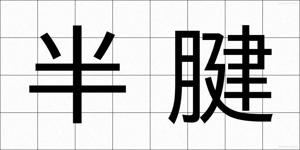 半腱 (はんけん)
