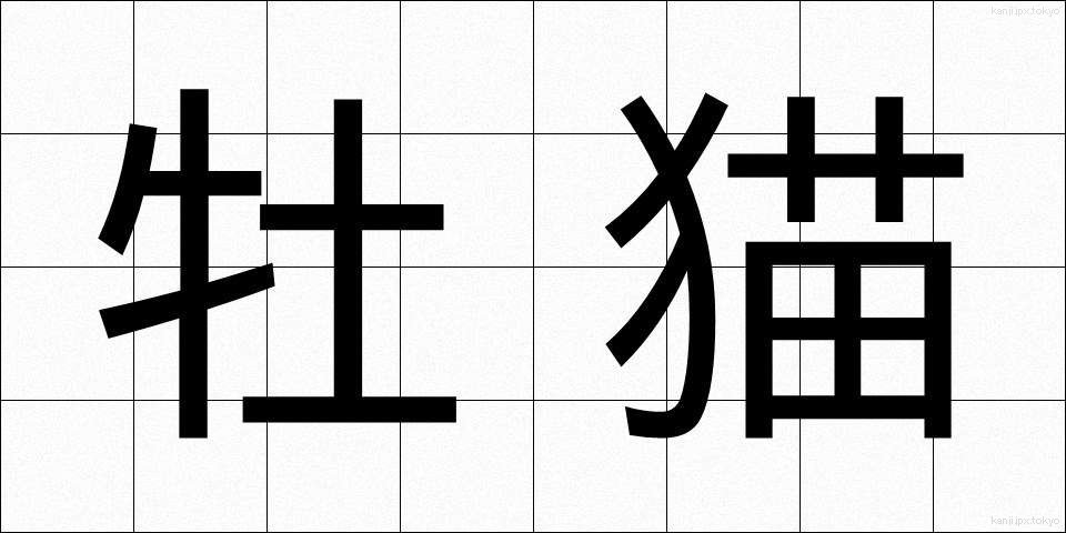 牡猫 (おすねこ)