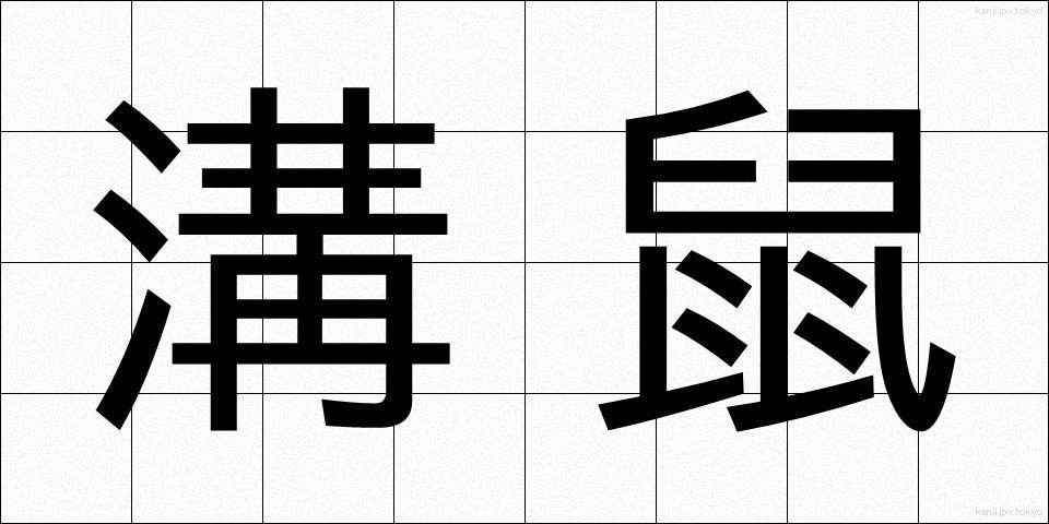 溝鼠 (どぶねずみ)