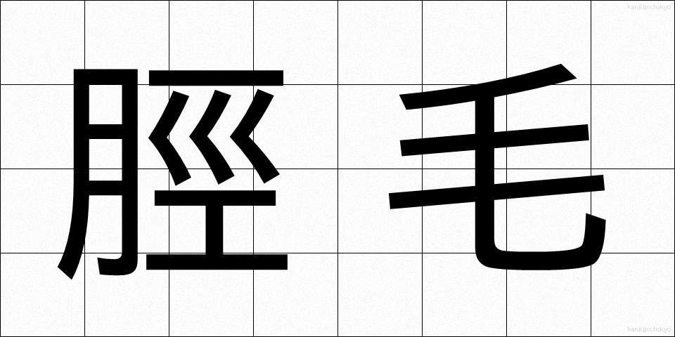 脛毛 (すねげ)