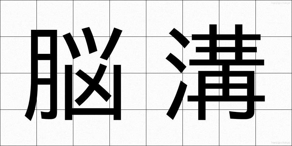 脳溝 (のうこう)