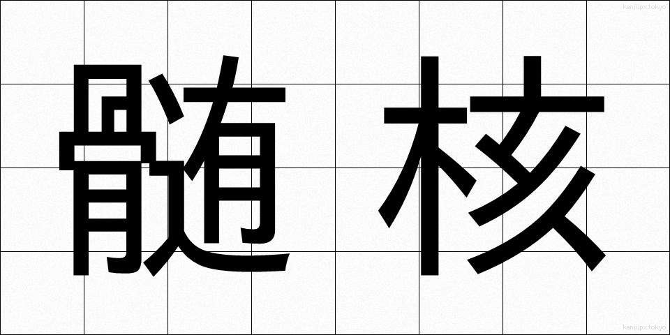 髄核 (ずいかく)