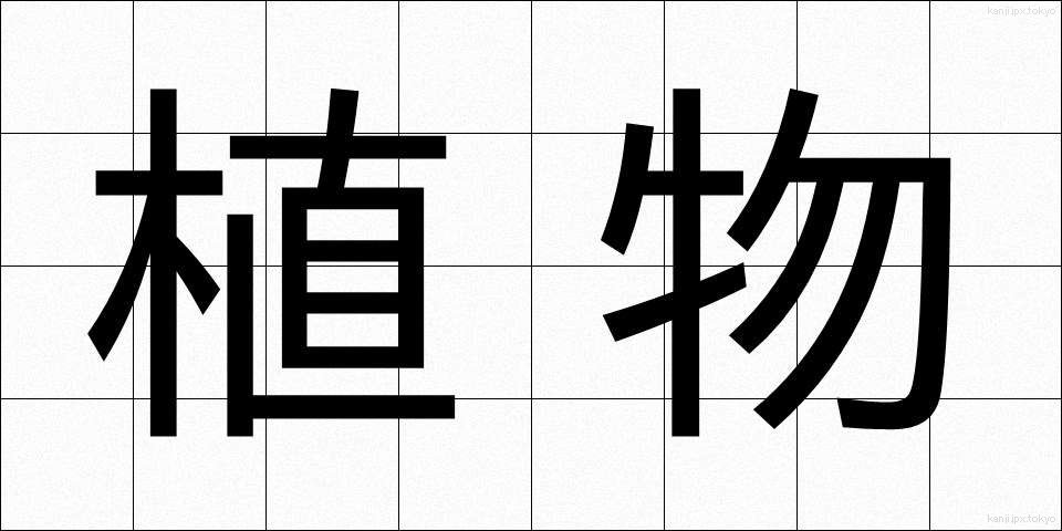 植物 (しょくぶつ)