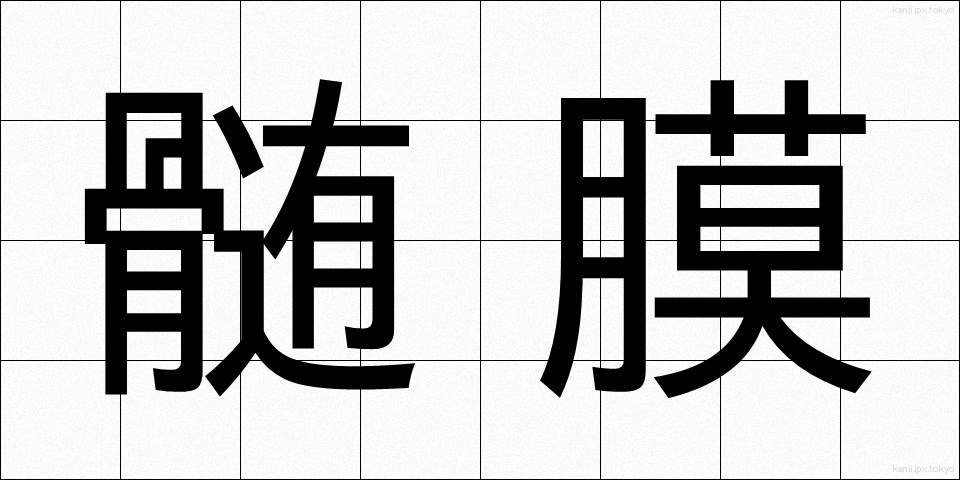 髄膜 (ずいまく)