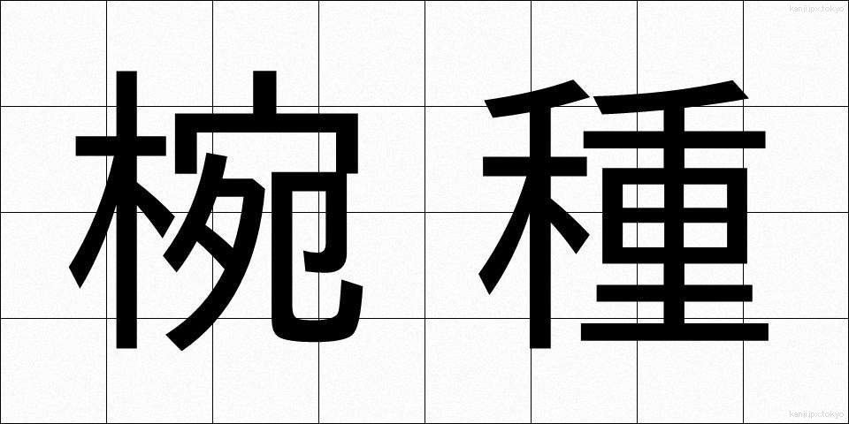 椀種 (わんしゅ)