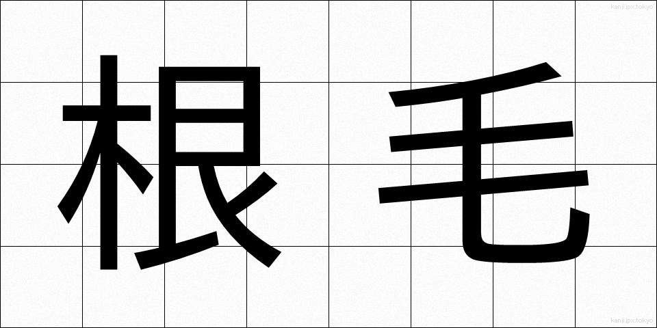 根毛 (こんもう)