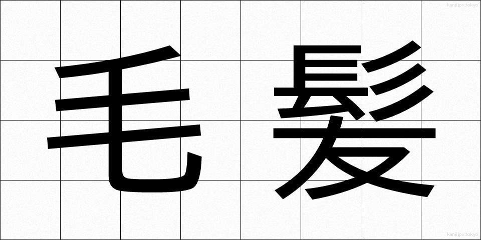 毛髪 (もうはつ)