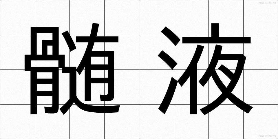 髄液 (ずいえき)