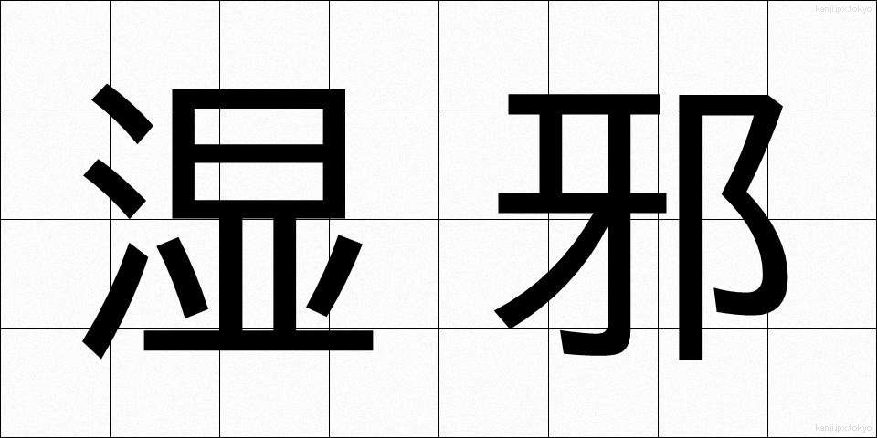 湿邪 (しつじゃ)