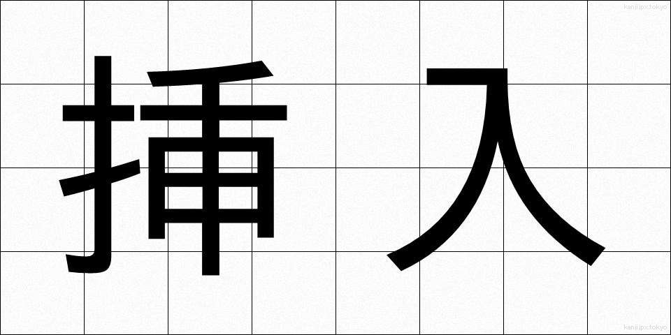 挿入 (そうにゅう)
