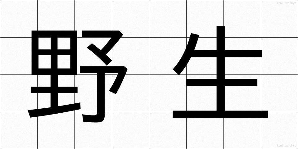野生 (やせい)