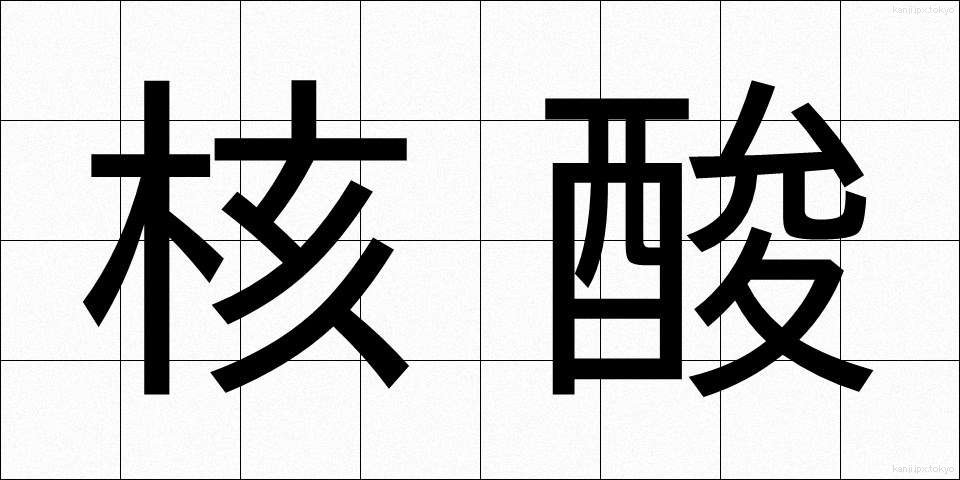 核酸 (かくさん)