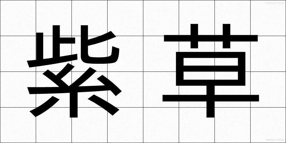 紫草 (しそう)