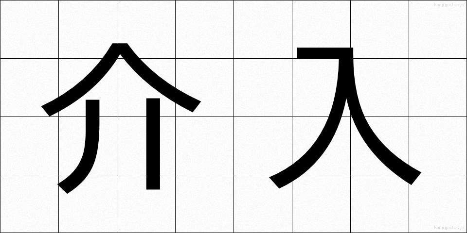介入 (かいにゅう)