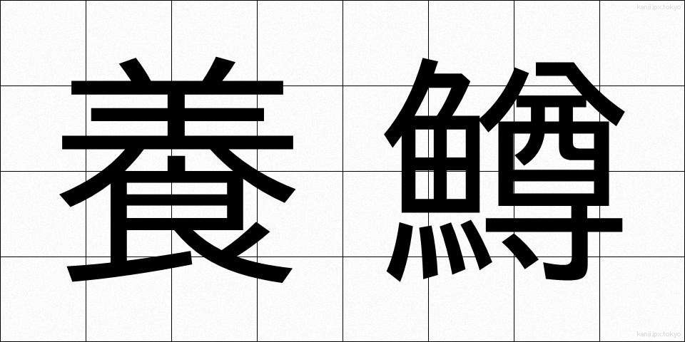 養鱒 (ようそん)