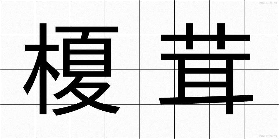 榎茸 (えのきたけ)