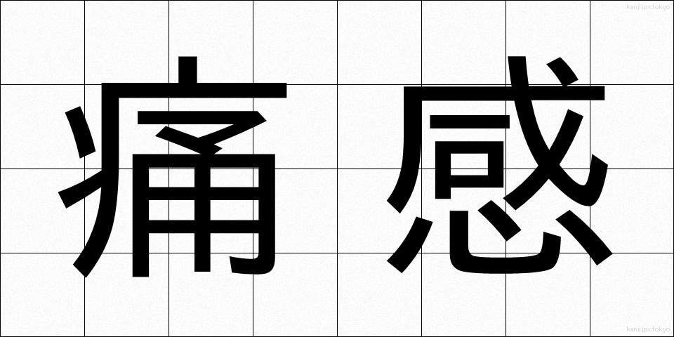 痛感 (つうかん)