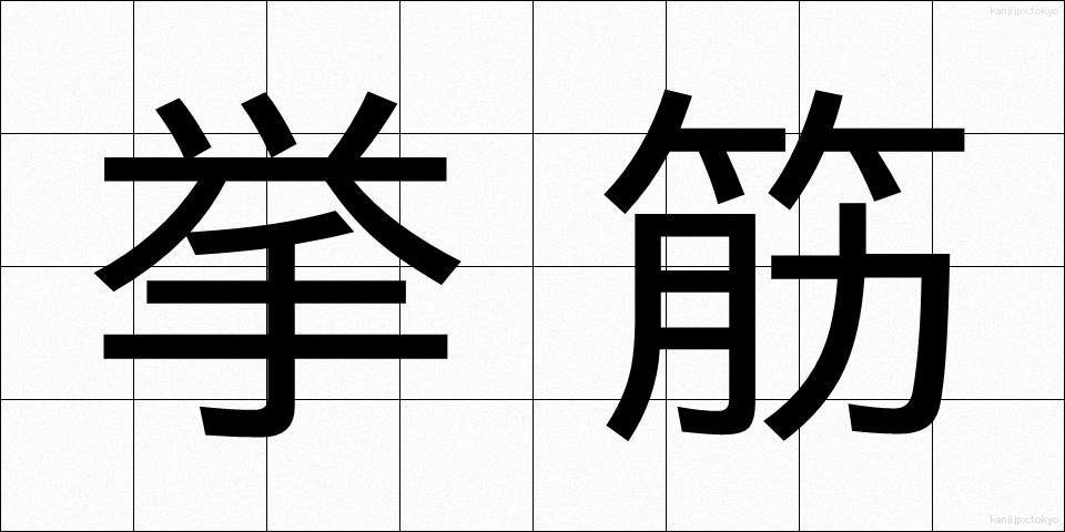 挙筋 (きょきん)