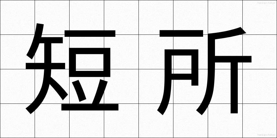 短所 (たんしょ)