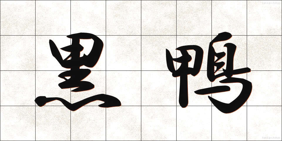 黒鴨 (くろがも)