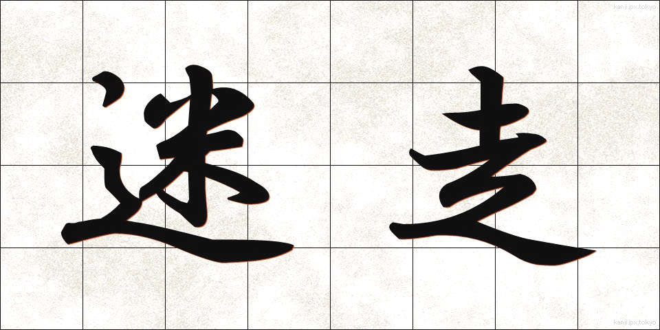 迷走 (めいそう)
