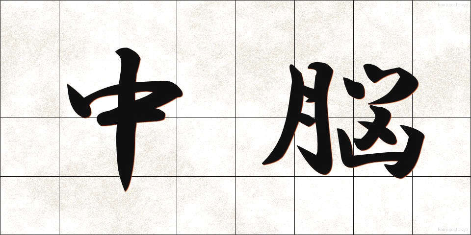 中脳 (ちゅうのう)