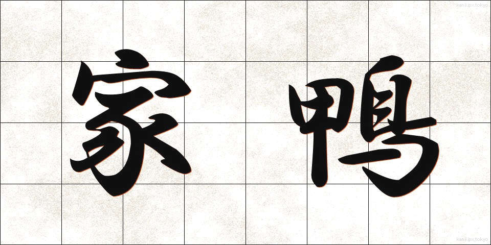 家鴨 (あひる)