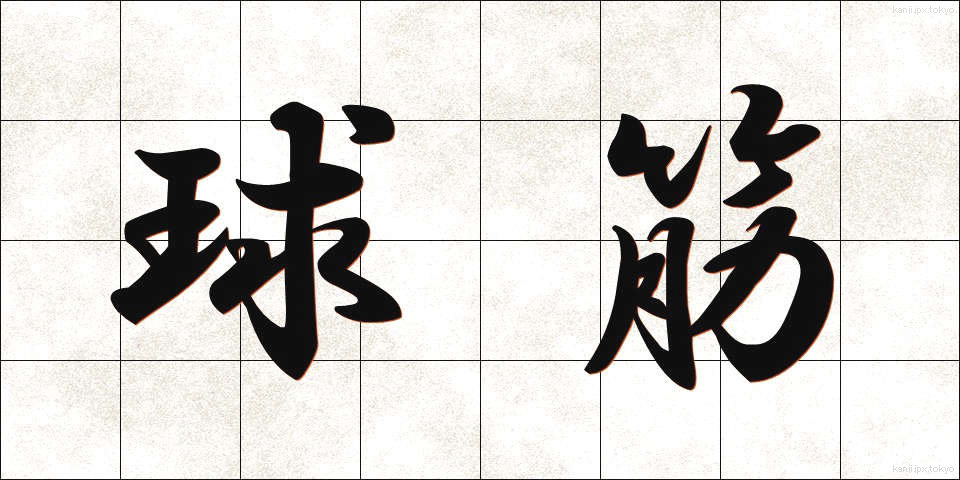 球筋 (きゅうすじ)