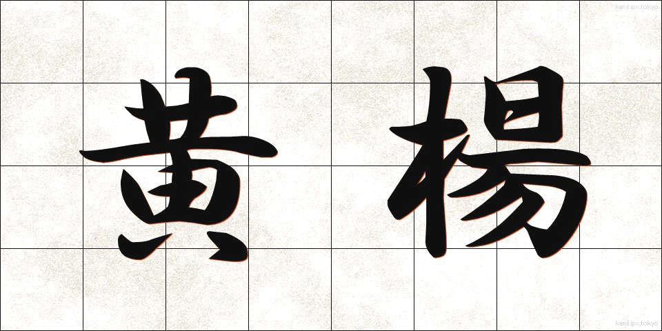 黄楊 (つげ)
