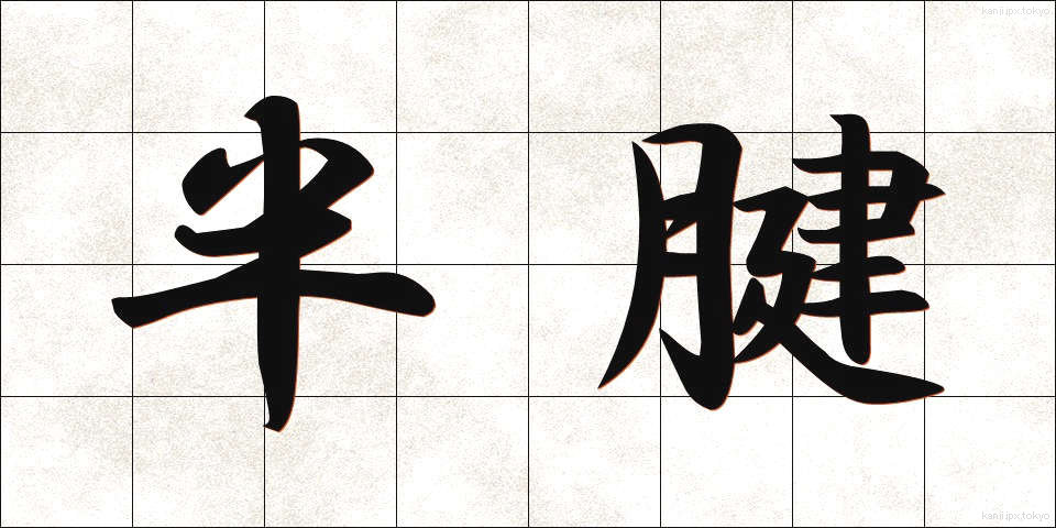 半腱 (はんけん)
