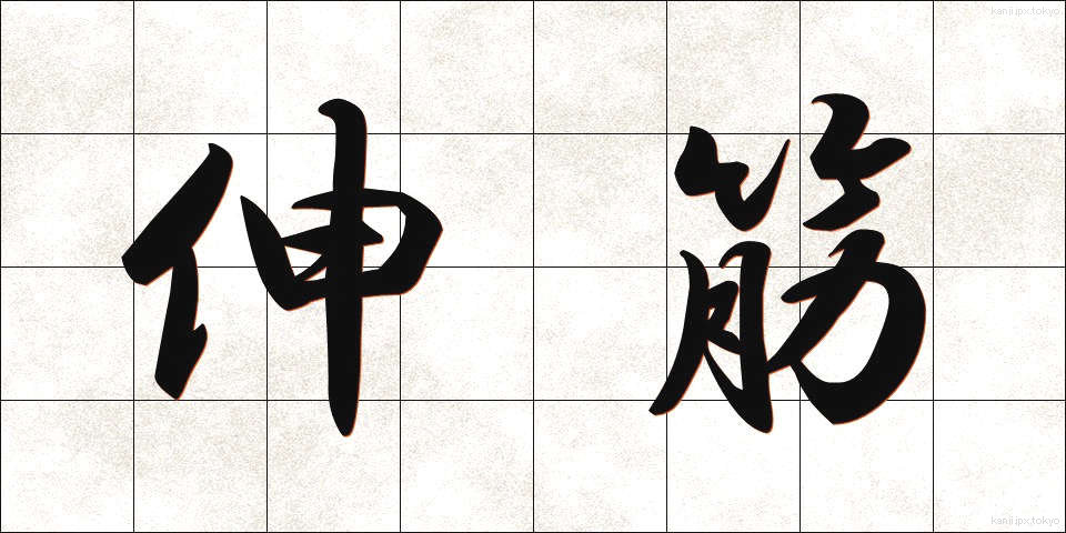 伸筋 (しんきん)