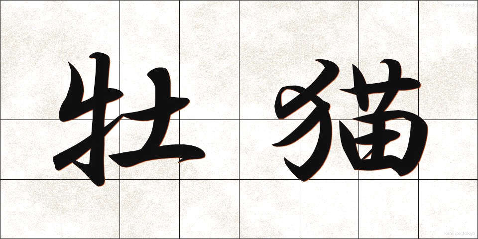 牡猫 (おすねこ)