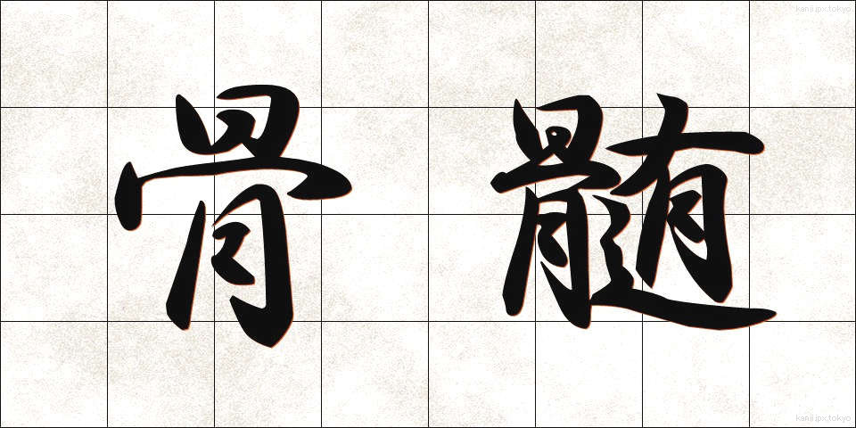 骨髄 (こつずい)