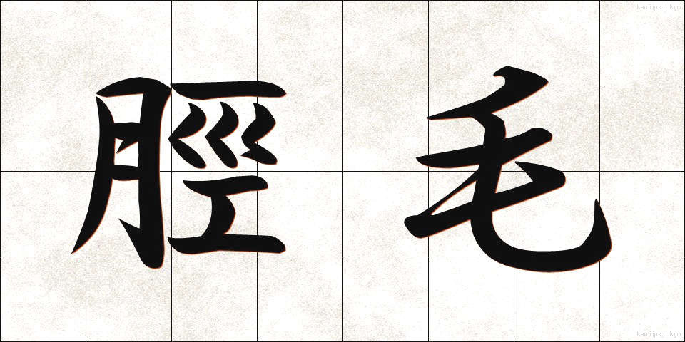 脛毛 (すねげ)